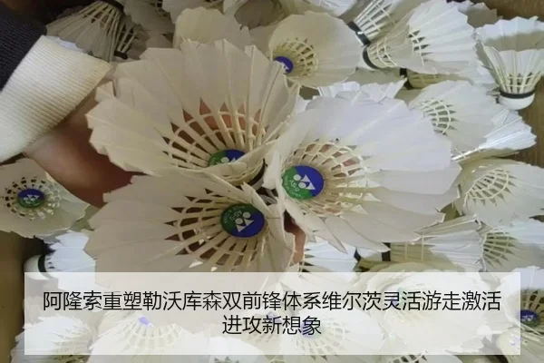 阿隆索重塑勒沃库森双前锋体系维尔茨灵活游走激活进攻新想象